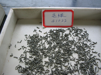 屯绿(41022)
