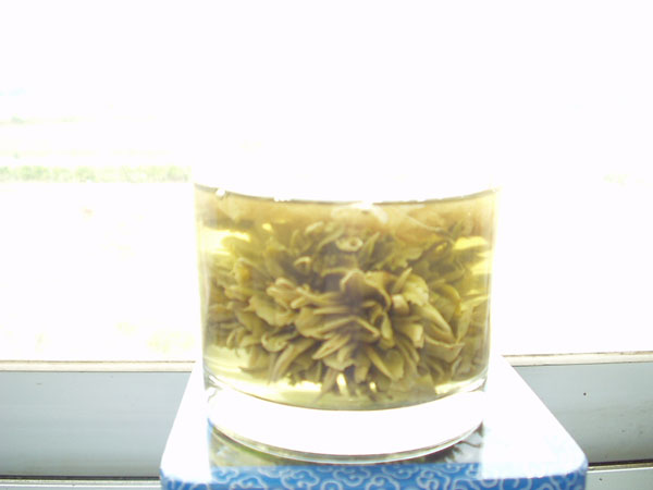 锦上添花